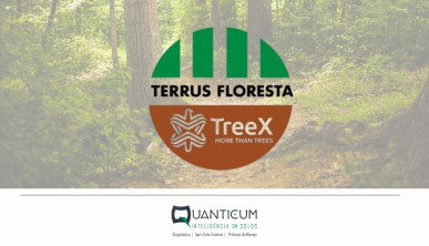 Terrus Floresta vence o Prêmio Forest Startup Conecta