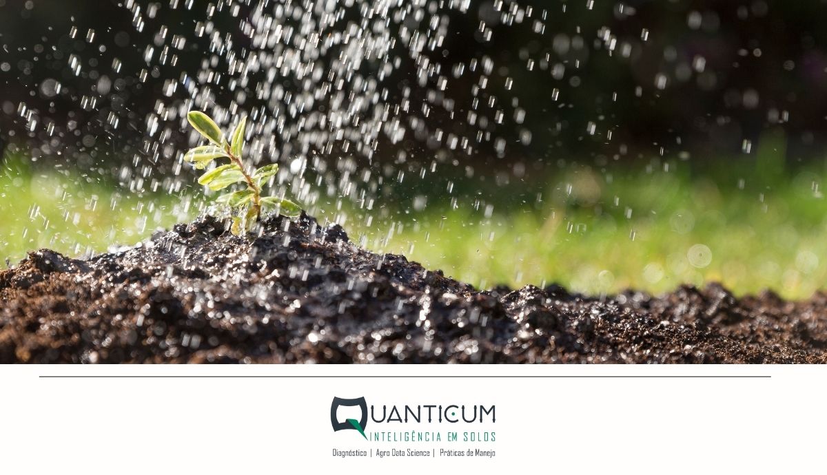 A água invisível no solo: o risco silencioso para a produtividade das safras
